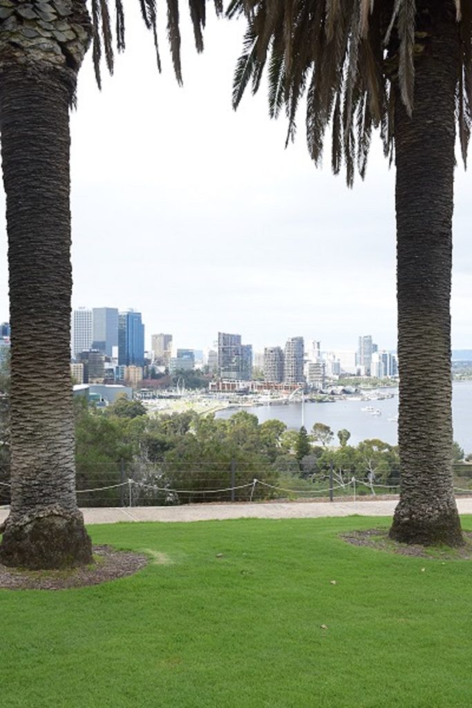 aka alt-text-using-weather-and-time-in-photography-cityscape-through-trees-on-a-cloudy-day