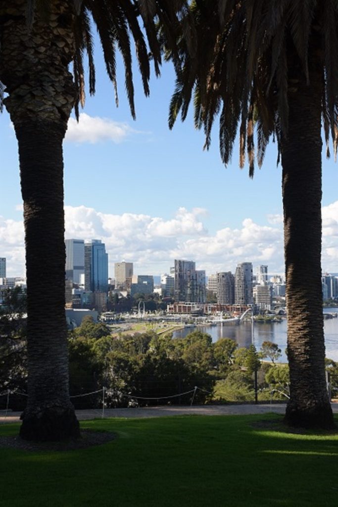 aka alt-text-using-weather-and-time-in-photography-cityscape-through-trees-on-a-sunny-day